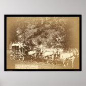 Black Hills, Treasure Coach SD 1887 Poster (Voorkant)