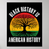 Black History Is American History Bhm African Root Poster (Voorkant)