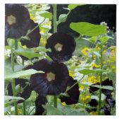 Black Hollyhocks Tegeltje (Voorkant)
