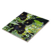 Black Hollyhocks Tegeltje (Zijkant)