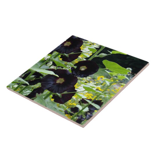 Black Hollyhocks Tegeltje (Zijkant)