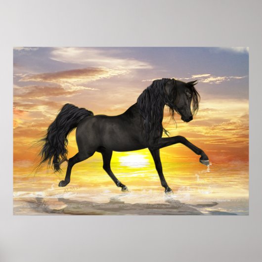 Black Horse 28 x 20 inch, voordelig Poster (Matte) (Voorkant)
