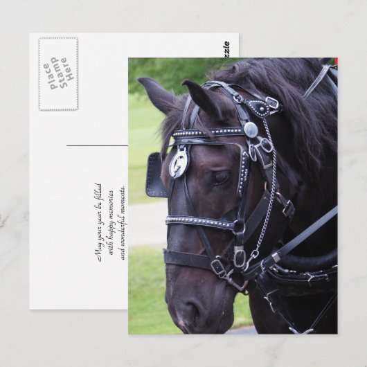 Black Horse 384 Verjaardag Briefkaart (Voorkant / Achterkant)