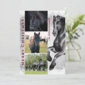 Black Horse 3 PHOTO Snowy Merry Kerstmis Feestdagenkaart (Staand voorkant)