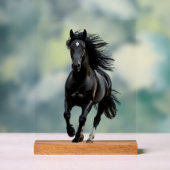 Black horse acryl bord (Neutraal)