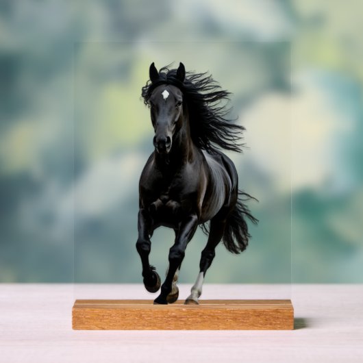 Black horse acryl bord (Neutraal)