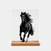 Black horse acryl bord (Voorkant)