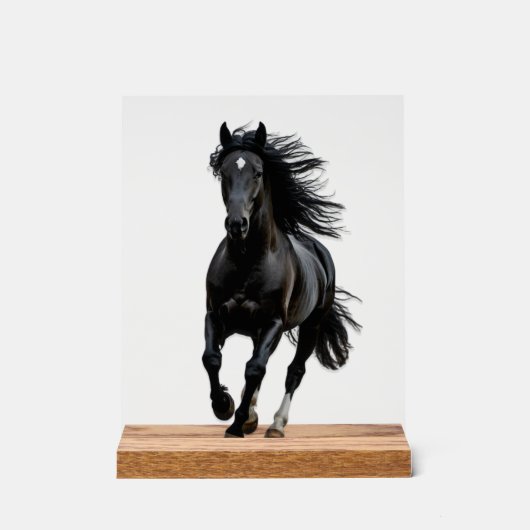 Black horse acryl bord (Voorkant)