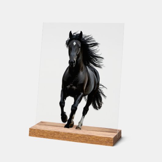 Black horse acryl bord (Hoek)