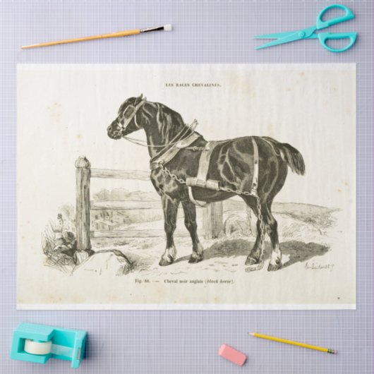 Black Horse Ephemera Decoupage  Frans Tissuepapier (Craft)