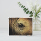 Black Horse Eye Briefkaart (Staand voorkant)