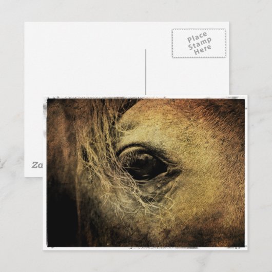 Black Horse Eye Briefkaart (Voorkant / Achterkant)