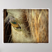 Black Horse Eye Poster (Voorkant)