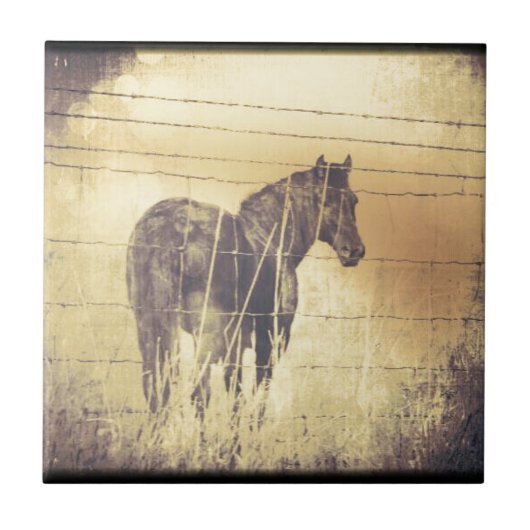 Black Horse Grunge Tegeltje (Voorkant)