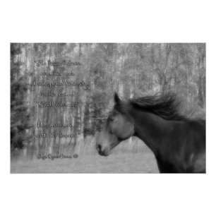 Black Horse & Horse-lover Poem w Equine B&W Foto Poster