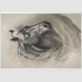 Black Horse in black and white Tissuepapier (Voorkant)