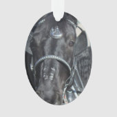 Black Horse Ornament (voorkant)