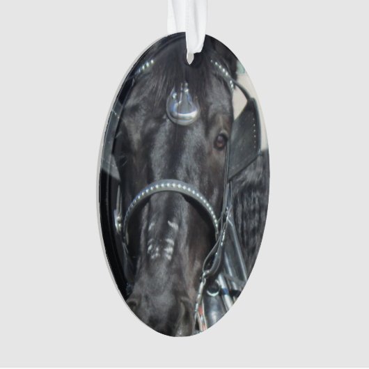 Black Horse Ornament (voorkant)