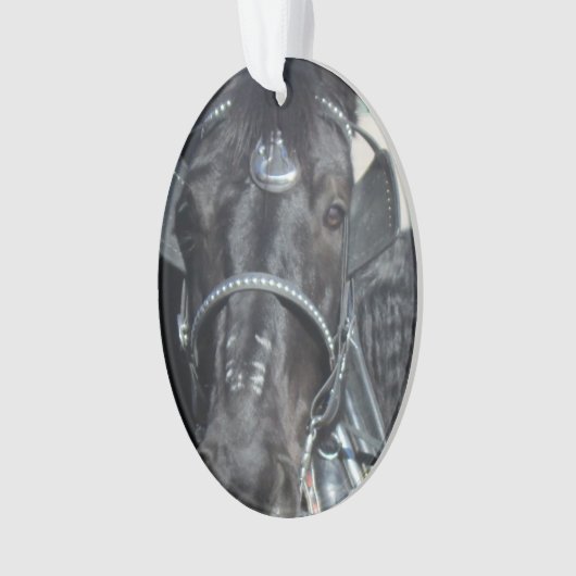 Black Horse Ornament (voorkant)