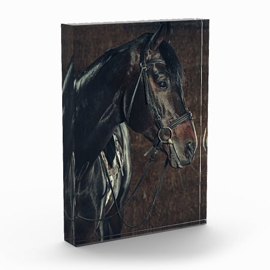 Black Horse Photo Block Fotoblokken (Links)