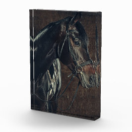 Black Horse Photo Block Fotoblokken