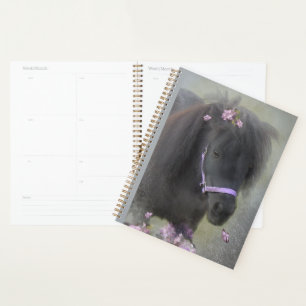 Black Horse Shetland Pony - Kalender, Planner