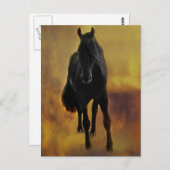 Black Horse Silhouette Briefkaart (Voorkant / Achterkant)