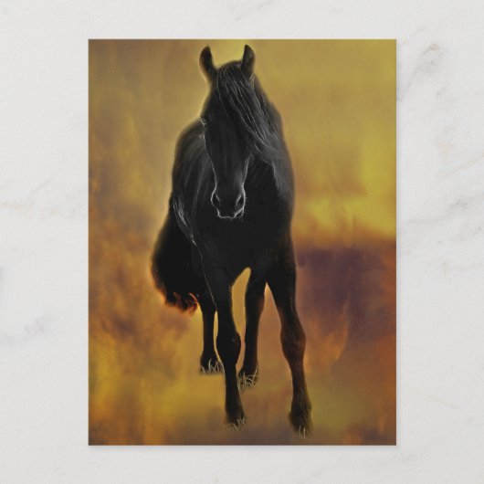 Black Horse Silhouette Briefkaart (Voorkant)