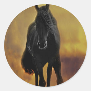 Black Horse Silhouette Ronde Sticker