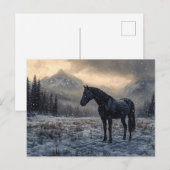 Black Horse Snowy Landscape Schilderachtig Briefkaart (Voorkant / Achterkant)