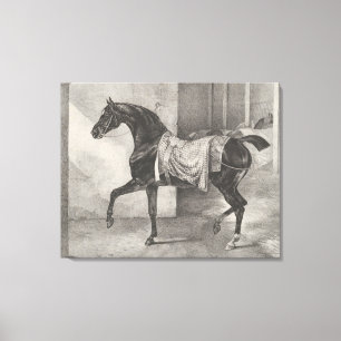 "Black Horse Tethered" door Théodore Gericault Canvas Afdruk