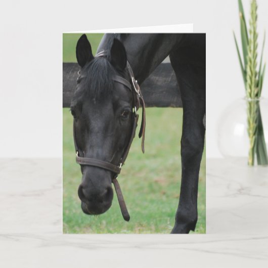 Black Horse Wenskaart Kaart (Voorkant)