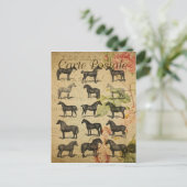 Black Horses Franse Carte Postale Briefkaart (Staand voorkant)