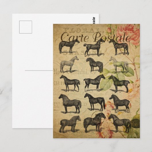  Black Horses Franse Carte Postale Briefkaart (Voorkant / Achterkant)