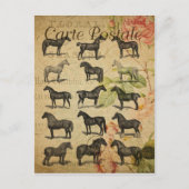  Black Horses Franse Carte Postale Briefkaart (Voorkant)