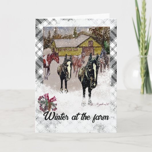 Black Horses overwinteren bij het boerderij Plaid  (Voorkant)