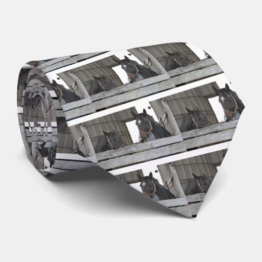 Black Horses/Ranch Stropdas (Opgerold)