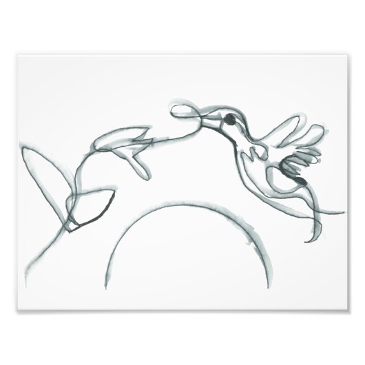 Black Hummingbird Foto Afdruk (Voorkant)