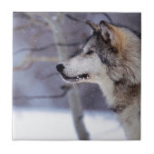 Black Husky Dog Products Tegeltje (Voorkant)