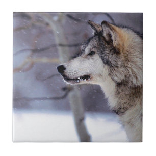 Black Husky Dog Products Tegeltje