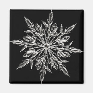 Black Ice Crystal Magneet