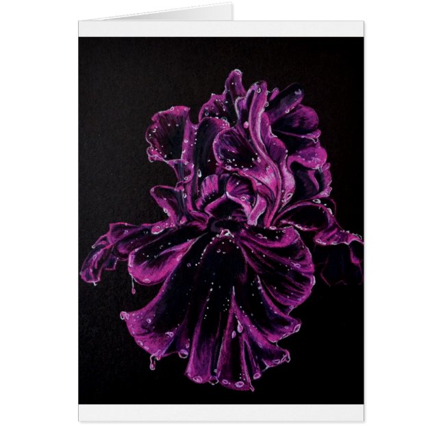 Black Iris (Voorkant)