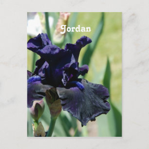 Black Iris Briefkaart