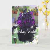 Black Iris Flower Floral Photo Love Birthday Card Kaart (Gele Bloem)