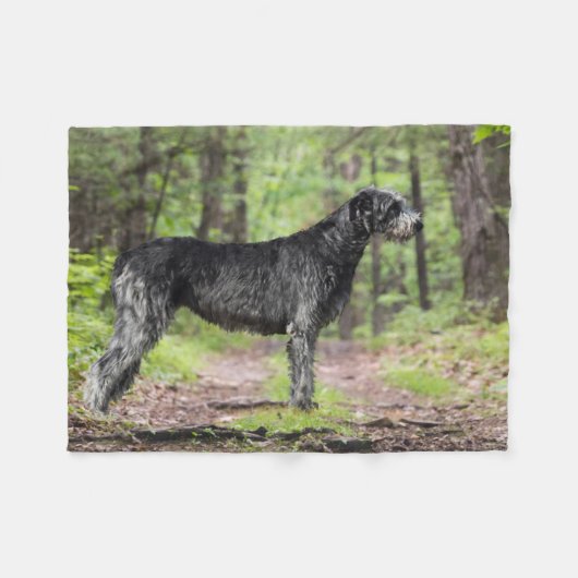 Black Irish Wolfhound Posing in de bossen Fleece Deken (Voorkant (Horizontaal))