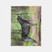 Black Irish Wolfhound Posing in de bossen Fleece Deken (Voorkant)