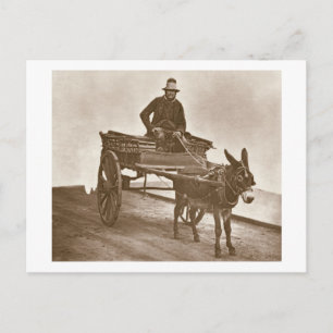 Black Jack, van 'Street Life in London', 1877-78 Briefkaart
