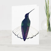 Black Jacobin Hummingbird Kaart (Voorkant)