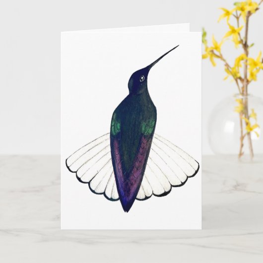 Black Jacobin Hummingbird Kaart (Gele Bloem)