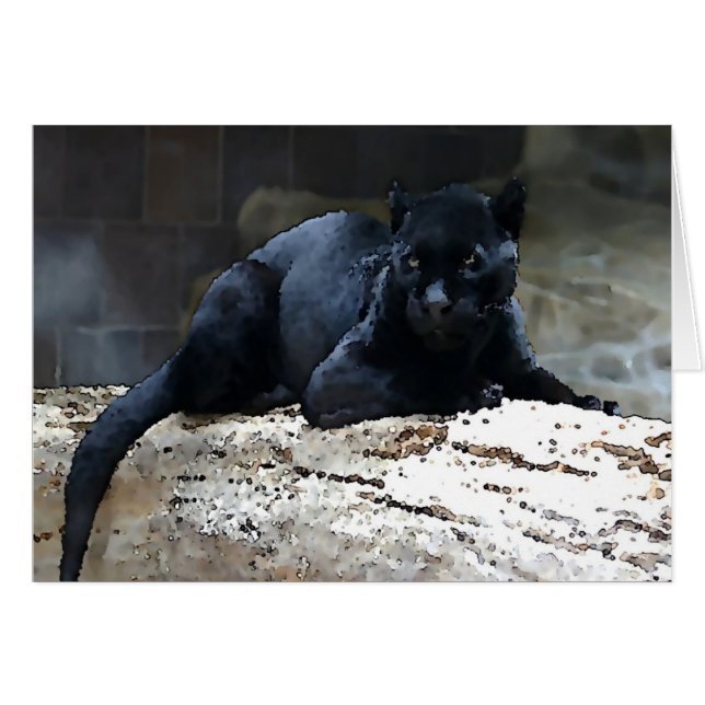 Black Jaguar (Voorkant Horizontaal)
